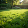 Fotorealistisches Bild von Rollrasensorten im Garten, zeigt Textur- und Farbvielfalt bei Sonnenlicht.