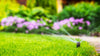 Rollrasen im Sommer: Wie Sie Ihren Rasen vor Hitze schützen und ihn frisch halten